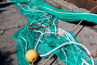 6084440.jpg?15d514743a73d884415ec9eda996cc45