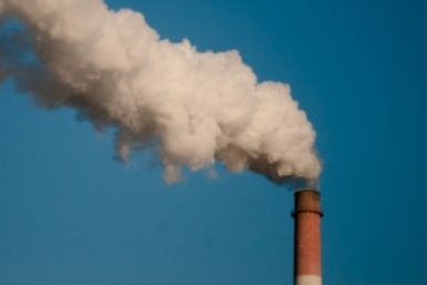 6085181.jpg?8b62e12310be61d8e71d2c4496e5be77