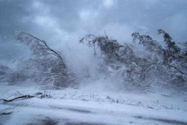 6086963.jpg?070cde0c0dc37cbadbf286c75e6e5c71