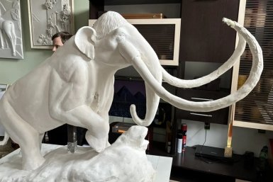 6092866.jpg?6e68193433fd2a34ac58b85b03e31695