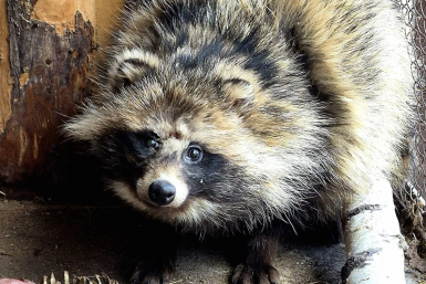 6095953.png?a6c0d87fbc895cb584e060b97d2f9117