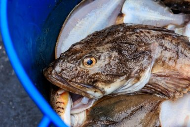 6100171.jpg?b7417a86a5d8a797364d6675847e3d4b