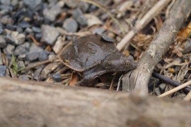 6104237.jpg?903ec4d8b9e2047fde8f9bdb77ae5bb9