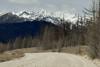 6110400.png?73037f2ff9a3839e22d7faea0277d470