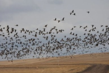 6111866.jpeg?69a6cfa240f42757966da78a7a39aab2