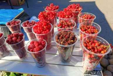 6203130.jpg?010a2c3abdb2adf225cf99be0beca83f