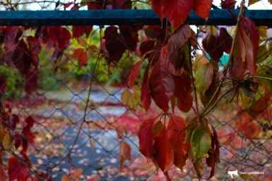 6223873.jpg?8fe7308b682a277f6281fabe5f8c5e82