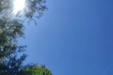 6240994.png?f2205b879bce34d3b5316a6a8c72bdd7