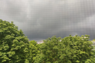 6245762.png?eb1a8acb02ee45f47e2c5cd26957a56b