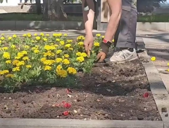 Новость