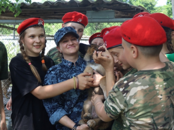 Новость