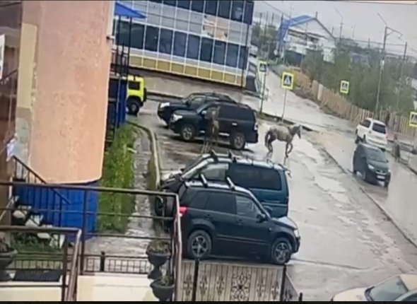 Новость