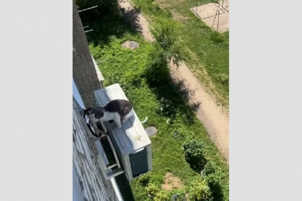 Новость
