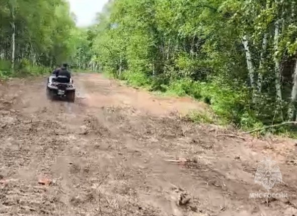 Новость дня