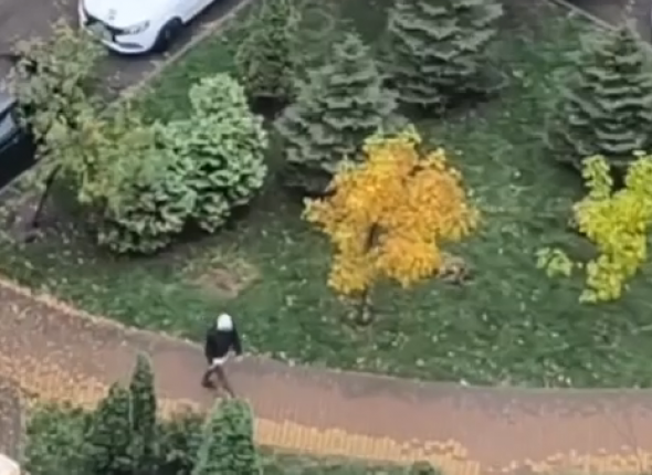 Новость