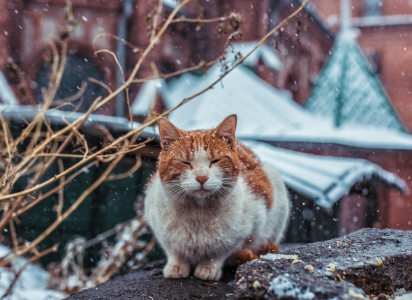 Новость