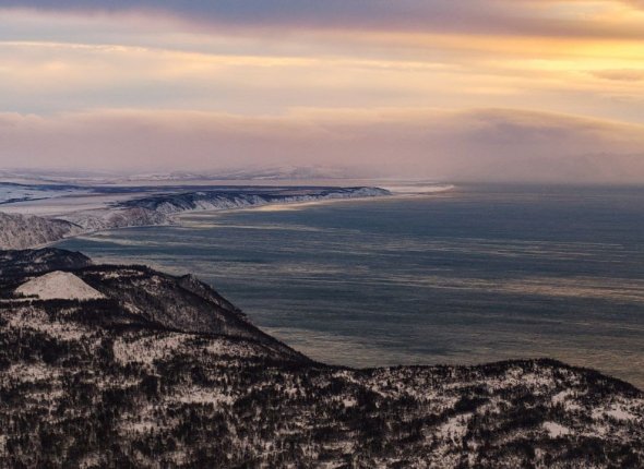 Новость дня