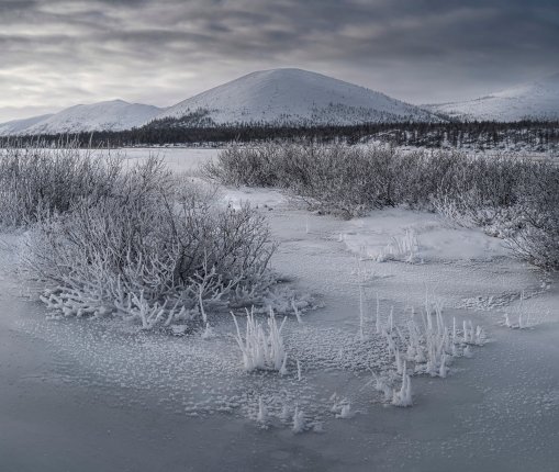 Новость дня