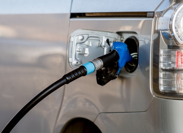 Новость дня