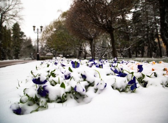 Новость дня