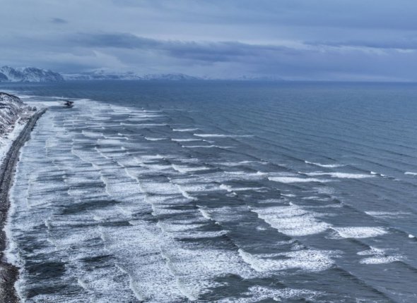 Новость дня