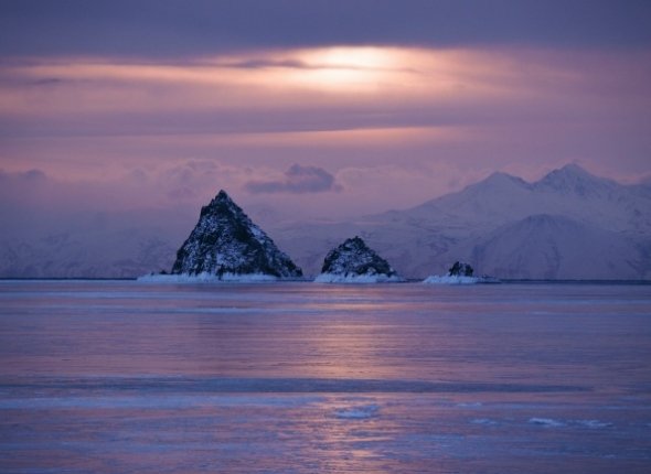 Новость дня