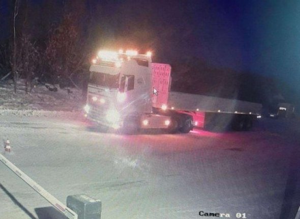 Новость дня