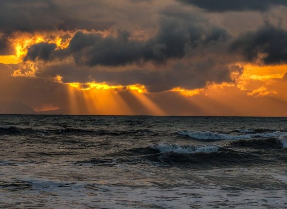 Новость дня