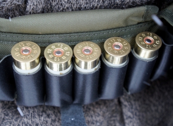 Новость дня