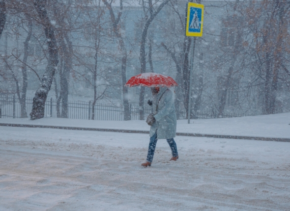 Новость дня