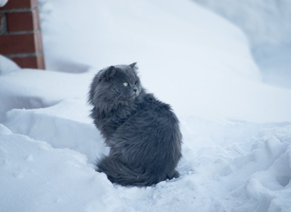 Новость дня