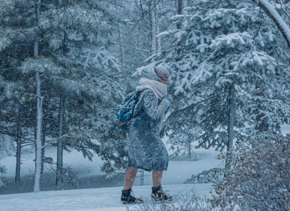 Новость дня