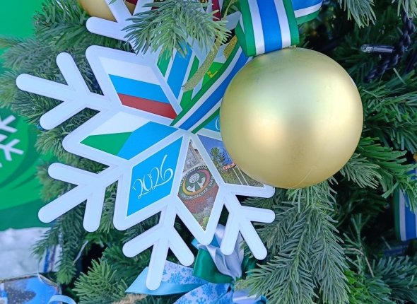 Новость дня