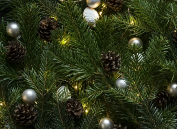 Новость дня