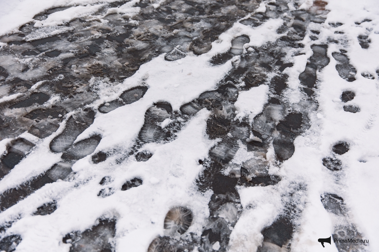 Новость дня