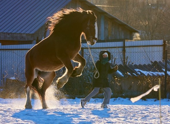 Новость дня