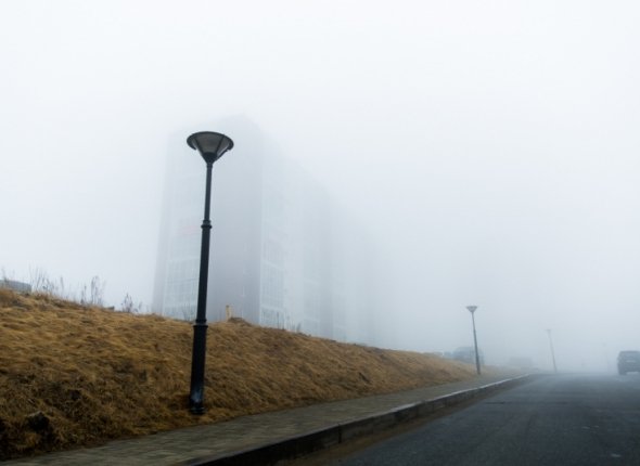 Новость дня