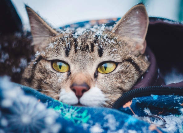 Новость дня