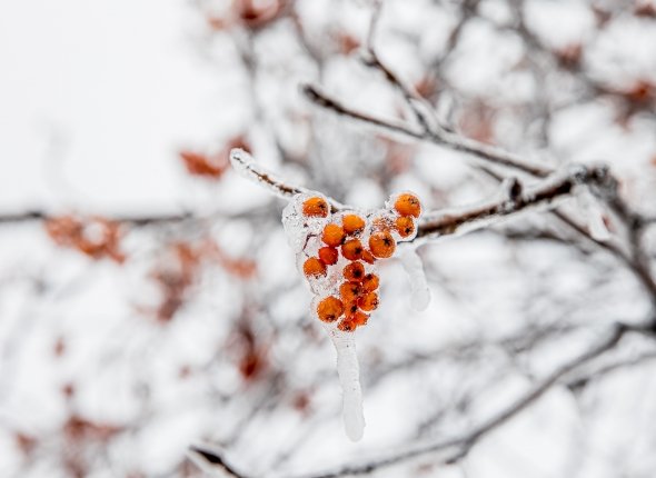 Новость дня