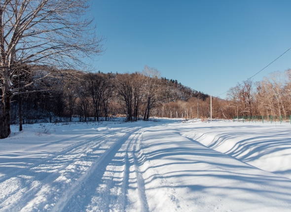 Новость дня