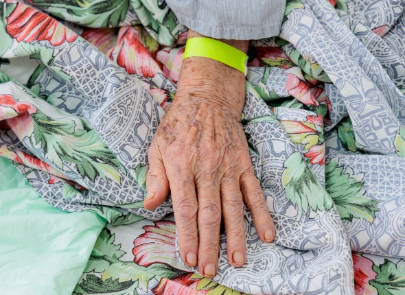 Новость дня