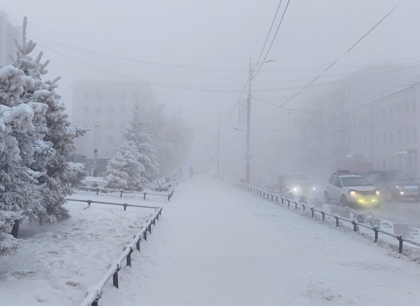 Новость дня