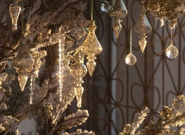 Новость дня