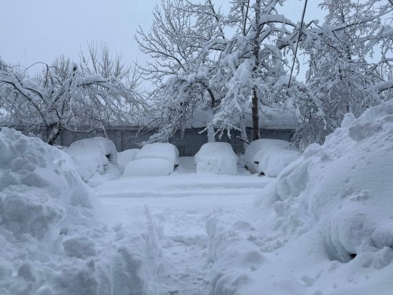 Новость дня