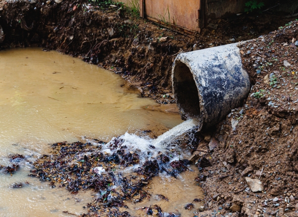 Новость дня