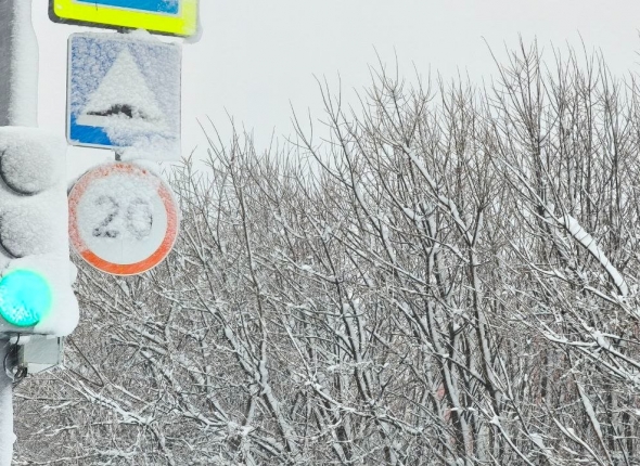 Новость дня