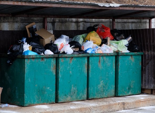 Новость дня