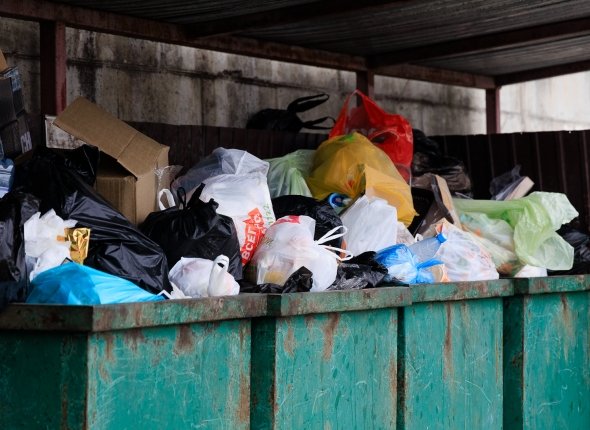 Новость дня