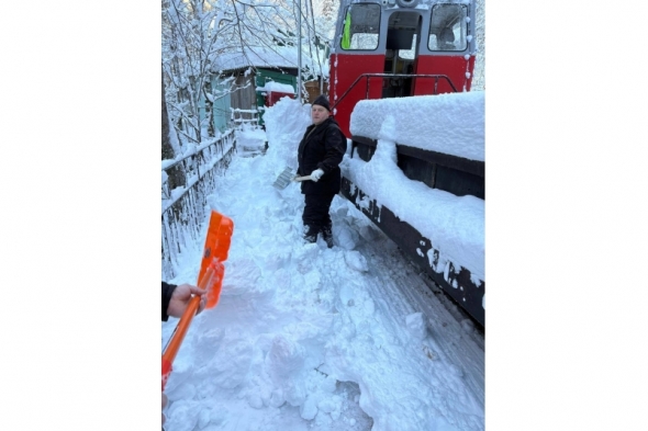 Новость дня