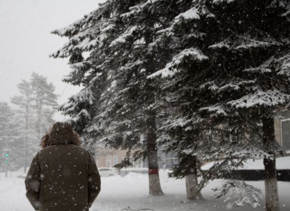 Новость дня